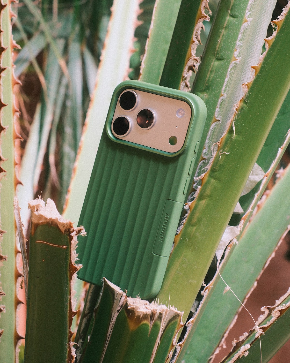 Bold Case